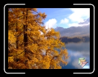 Engadin Okt * (53 Fotos)